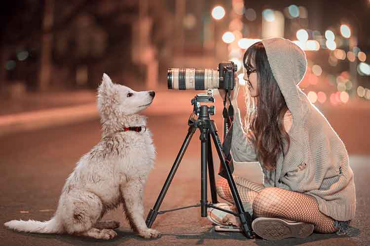 Pet photography businesses to start for under 10k.