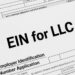 EIN for LLC: What It Is and How to Apply Free
