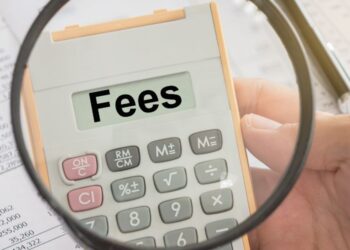 LLC Annual Fees and Compliance Checklist