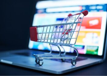 LLC for Your eCommerce Business