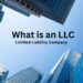 Limited Liability Company